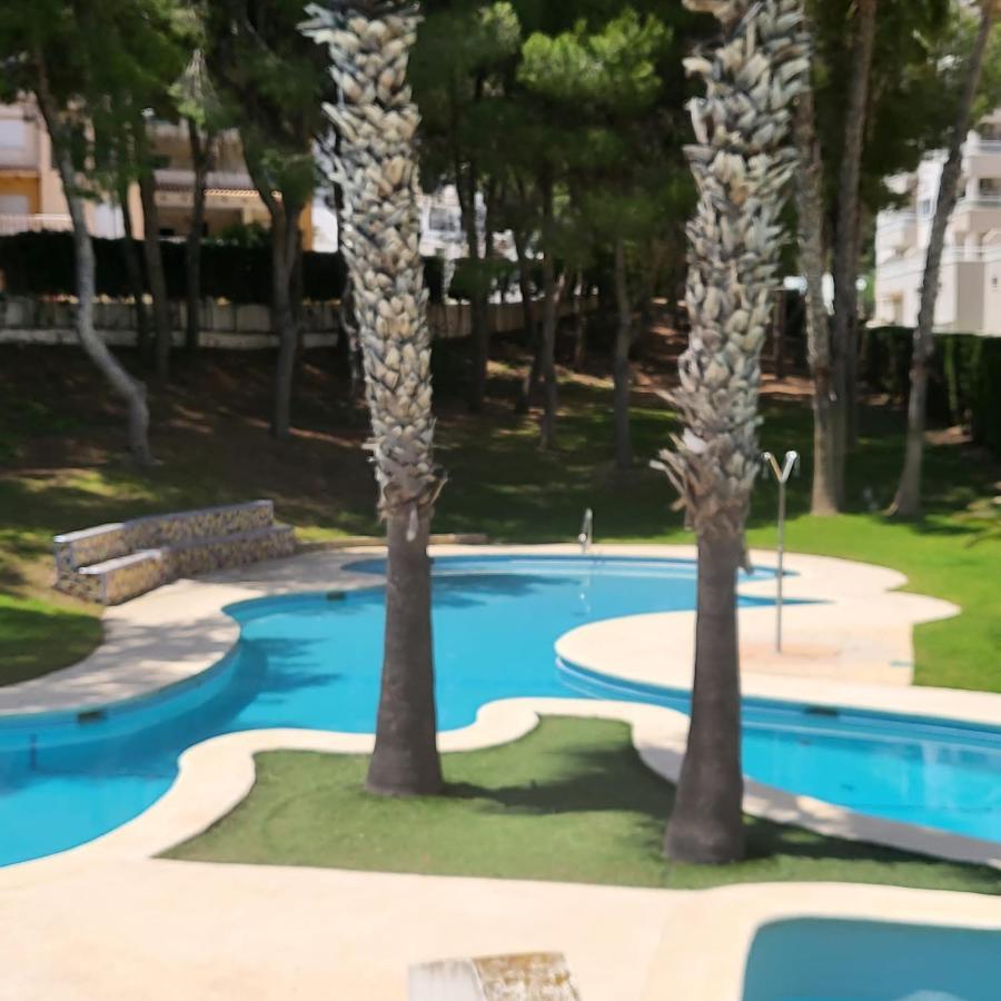 Apartamento Ines, Dehesa De Campoamor,900M From The Sea , Swimming Pool & Tennis Court 外观 照片