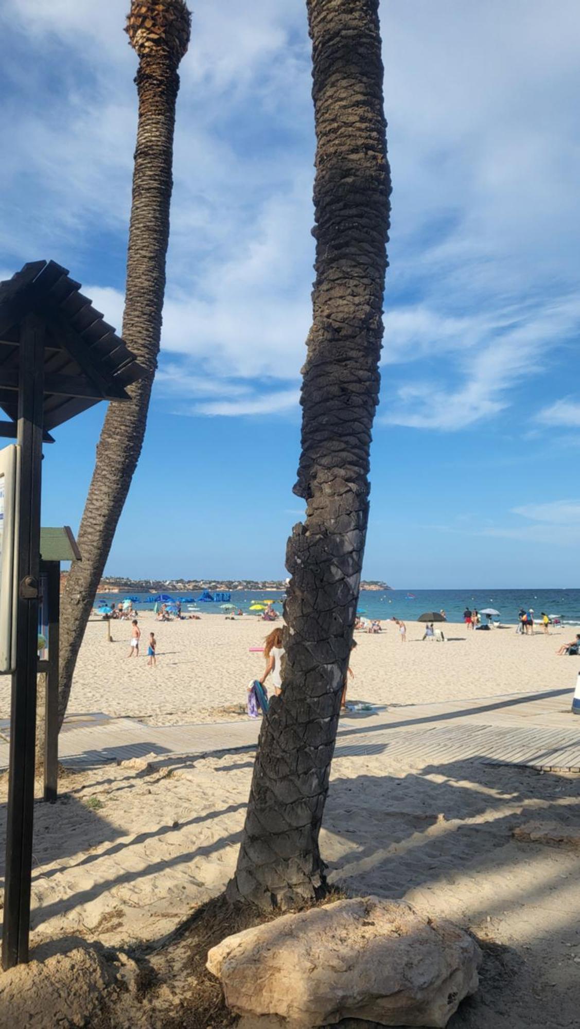 Apartamento Ines, Dehesa De Campoamor,900M From The Sea , Swimming Pool & Tennis Court 外观 照片